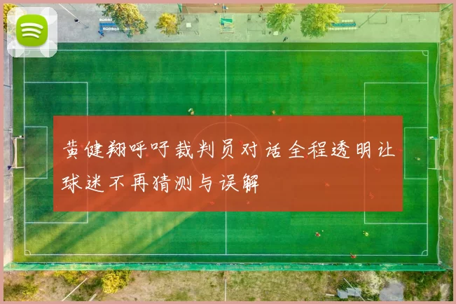 黄健翔呼吁裁判员对话全程透明让球迷不再猜测与误解