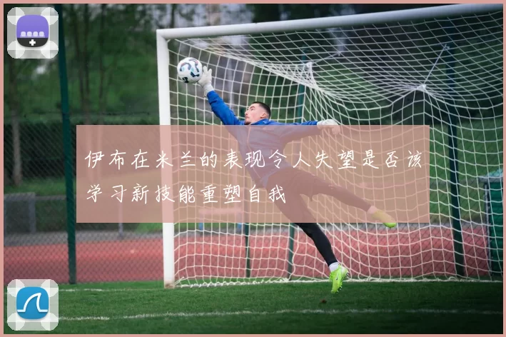 伊布在米兰的表现令人失望是否该学习新技能重塑自我