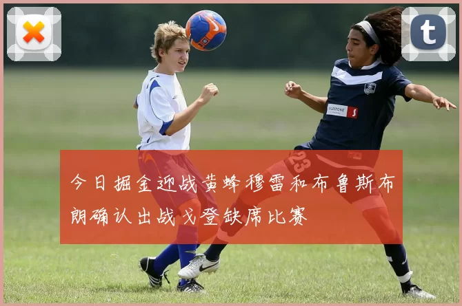 今日掘金迎战黄蜂穆雷和布鲁斯布朗确认出战戈登缺席比赛
